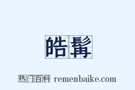 皓髯是什么意思的图片